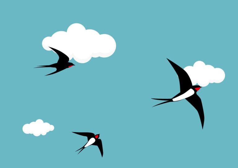 おもて倶楽部3・4月号掲載しました。過去分も覗いてみてくださいね！